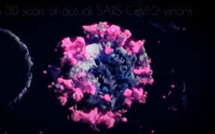 3D-модель коронавируса