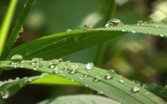 Погода в Украине, погода в Киеве, прогноз погоды, 9 мая