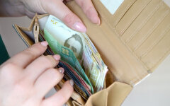 Субсидия на дрова в Украине / Фото: depositphotos/Mehaniq