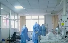 коронавирус у сотрудника ВОЗ