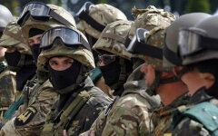 морские котики