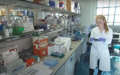 Разработка вакцины от коронавируса,очередь на вакцину от коронавируса,лекарство от Covid-19