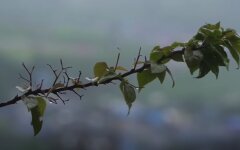 Погода в Украине, погода в Киеве, прогноз погоды