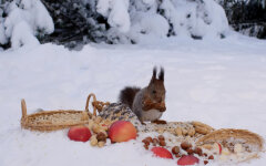 Погода в Украине, прогноз погоды