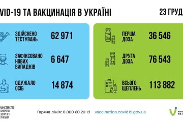 Статистика по коронавирусу на утро 24 декабря, коронавирус в Украине