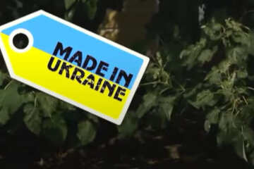 ПриватБанк показал, как подключить "Национальный кешбек" в Дія