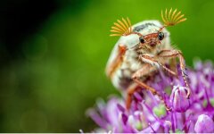 Прогноз погоди / Фото: Huskyherz / Pixabay