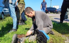 Обмен военнопленных