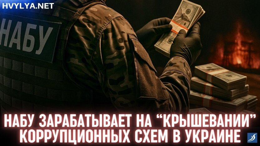 НАБУ зарабатывает на "крышевании" коррупционных схем в Украине, - Куртев