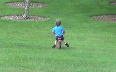 малыш на велосипеде