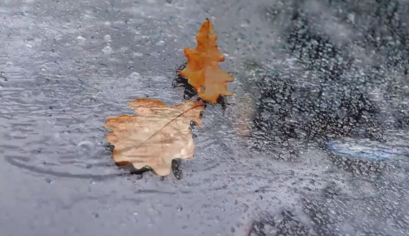Осенние дожди, погода в Украине