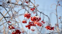 Прогноз погоды в Украине / Фото: pixabay