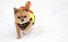 Прогноз погоды в Украине / Фото Getty Images