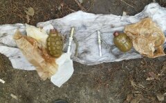 гранаты