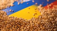 Вывоз Россией украинского зерна