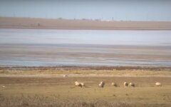 Анатолий Вассерман,Засуха в Крыму,нехватка пресной воды в Крыму,пресная вода из реки Кубань