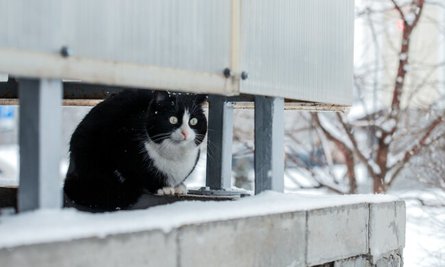 Прогноз погоды в Украине