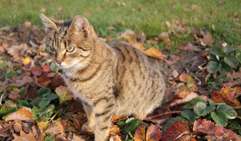 Прогноз погоди в Україні