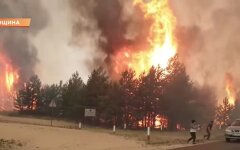 Пожары в Луганской и Харьковской областях, причина возгорани, Владимир Зеленский