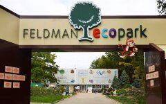 Стала известна судьба животных из "Экопарка" в Харькове