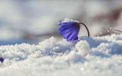 Прогноз погоди в Україні