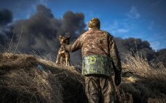 Фотографии войны, владимир зеленский