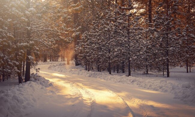 Прогноз погоди в Україні / Фото: unsplash.com