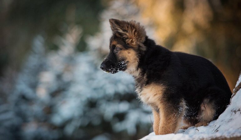 Прогноз погоди в Україні