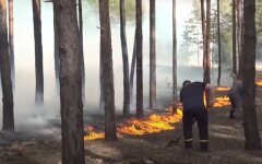 Лесные пожары