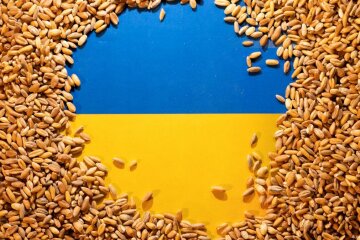 Евросоюз готовит экстренные ограничения на импорт зерна из Украины, - FT