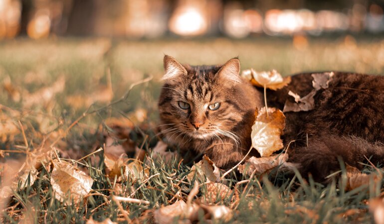 Прогноз погоды в Украине / Фото: Unsplash