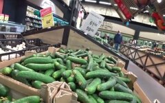 Огурцы в Украине, овощи, обвалились цены