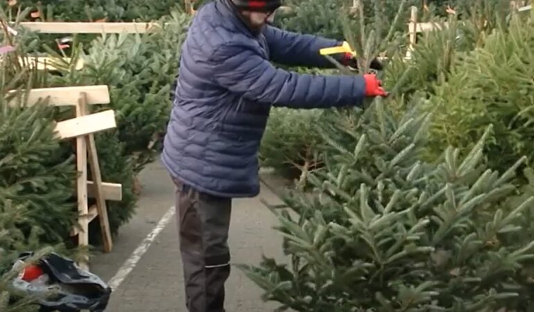 Елочный базар