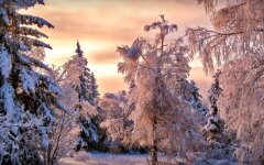погода3