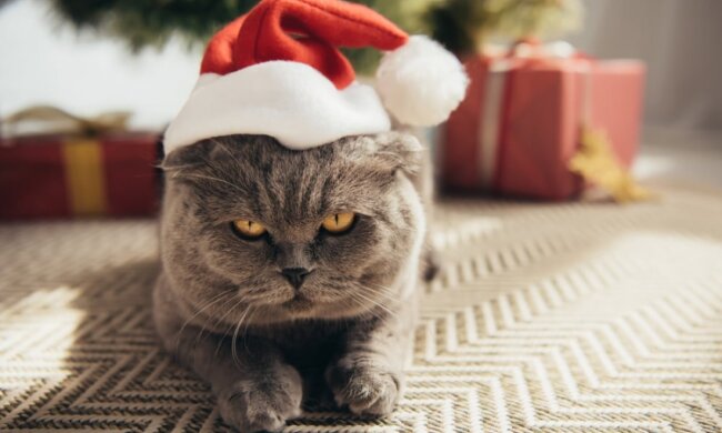 Прогноз погоды в Украине / Фото: Shutterstock