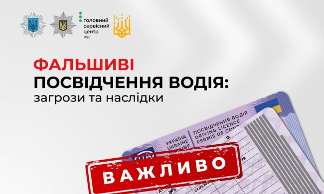 Покупка фальшивых водительских прав: В МВД предупредили о штрафах и тюремном сроке