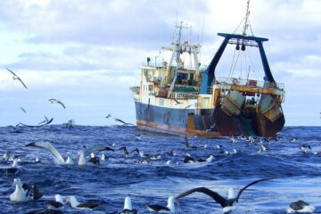 рыболовецкое судно рыбаки море чайки