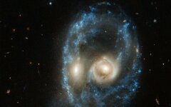 Arp-Madore 2026-424
