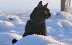 Прогноз погоды в Украине / Фото Pixabay