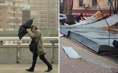 Погода в Киеве, ветер в киеве
