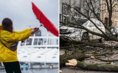 Украинцев предупредили о шквальном ветре 21 ноября