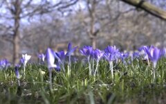 Погода в Украине, погода в Киеве, прогноз погоды