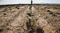 Посуха в Україні / Фото: agro-yug.com.ua