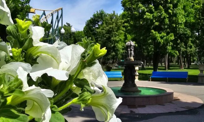 Прогноз погоды в Украине / Фото: t.me/park_ua