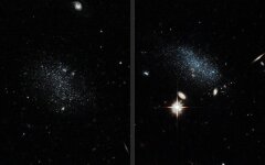 зародыши млеч.пути