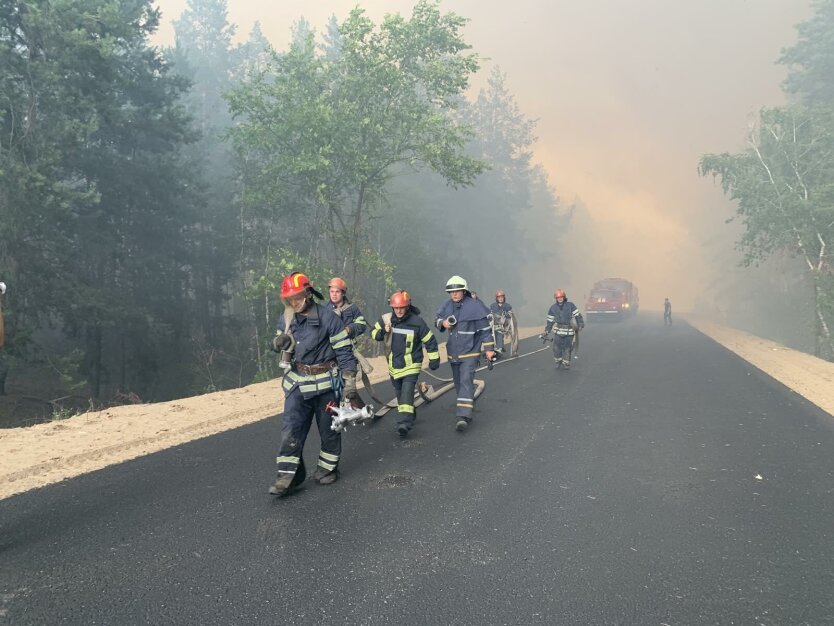 В Луганской области вспыхнул масштабный лесной пожар, есть жертвы: фото, видео
