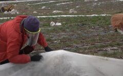 Нацбанк, COVID-19, карантин, переводы от заробитчан