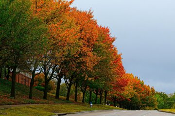 Прогноз погоды в Украине / Фото Unsplash