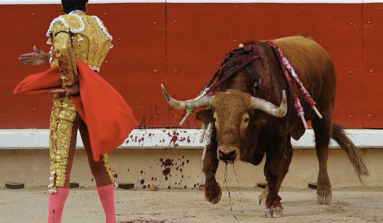 matador
