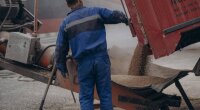Експорт зерна